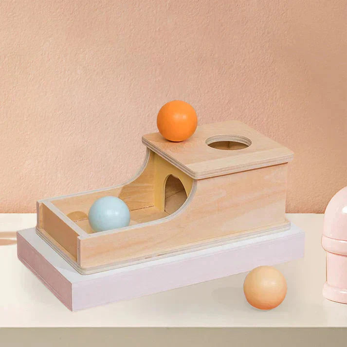 New Wooden Montessori Teaching Aids Sensory Training Target Box Toys UAE